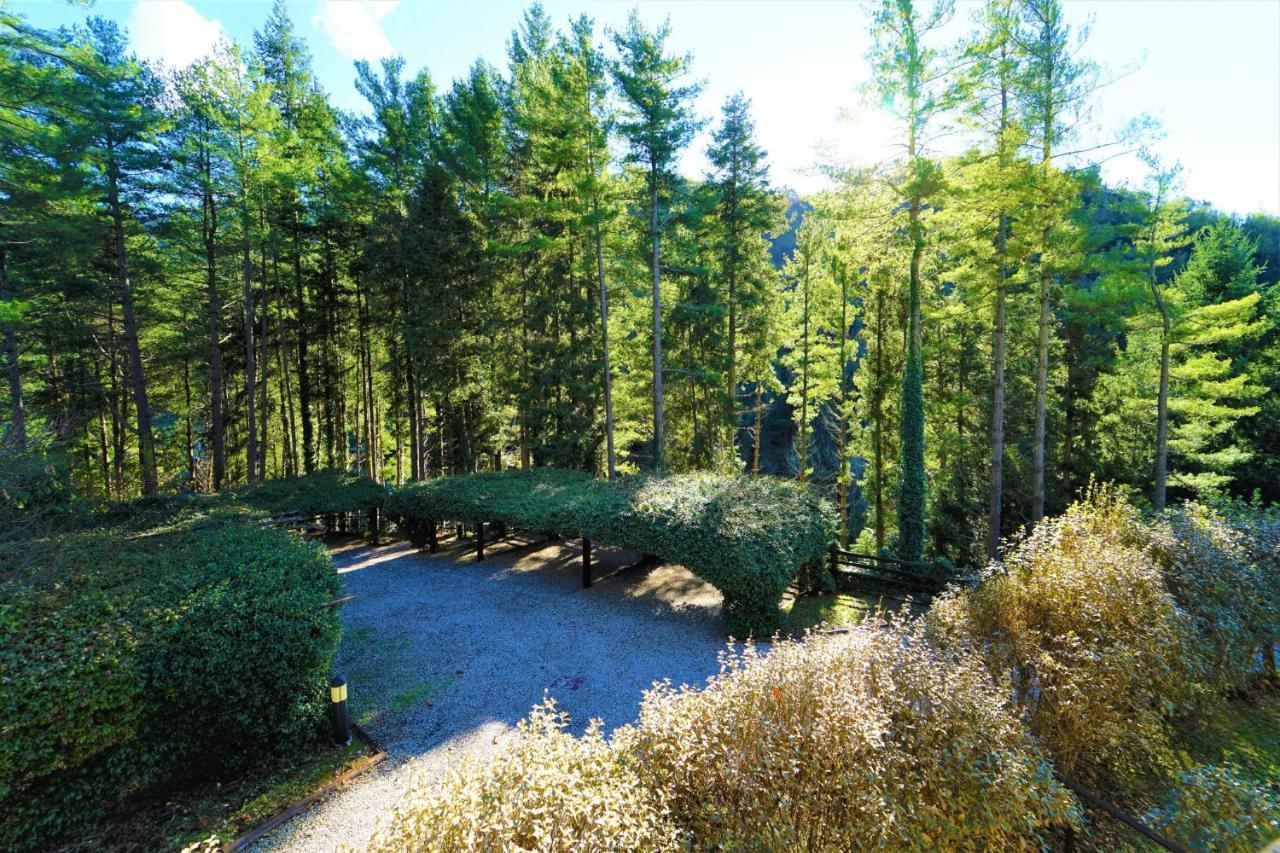 Il Bosco Di Campo Marzano Sunlight Lejlighed Borzonasca Eksteriør billede