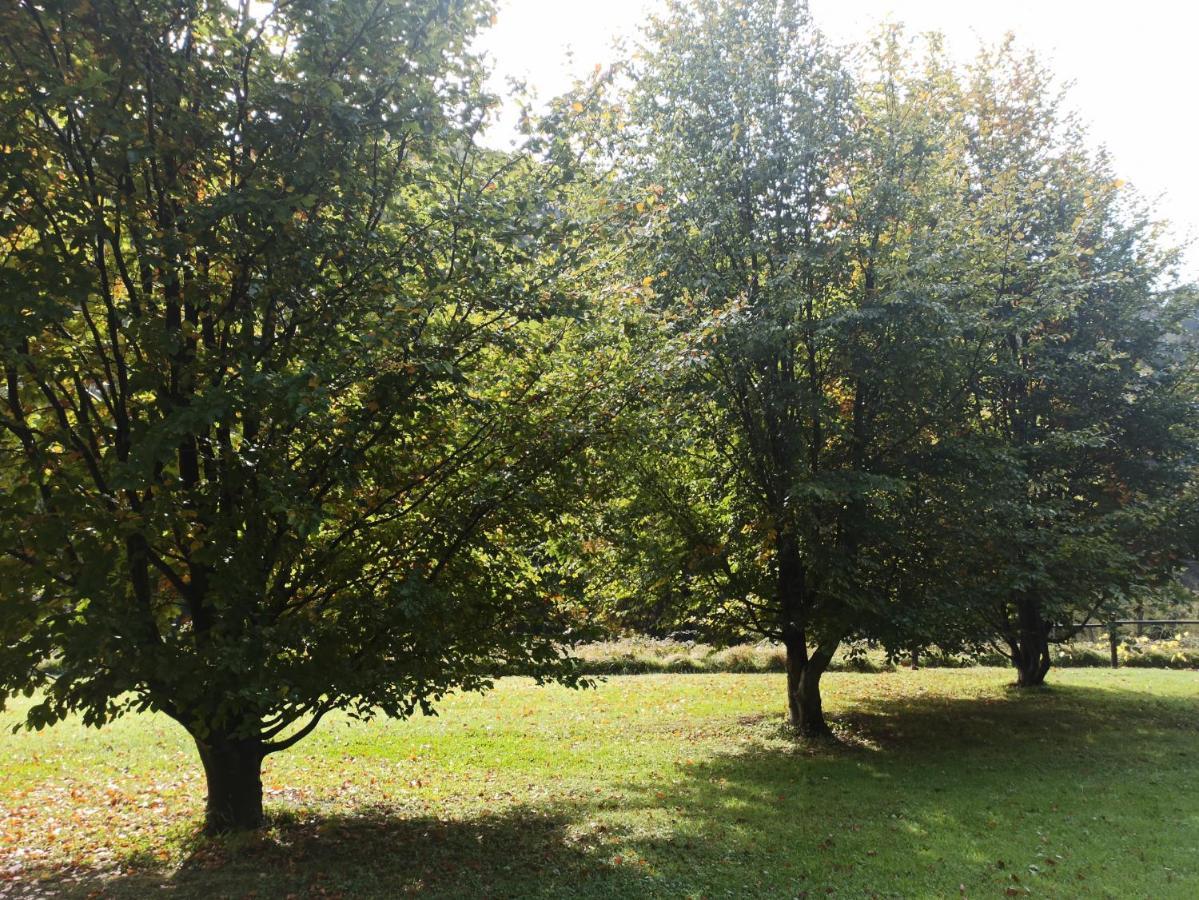 Il Bosco Di Campo Marzano Sunlight Lejlighed Borzonasca Eksteriør billede