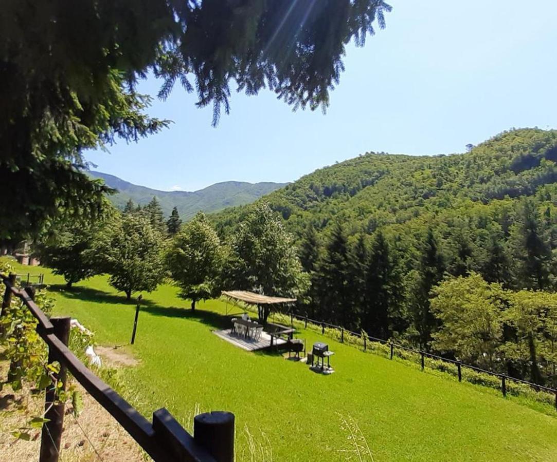 Il Bosco Di Campo Marzano Sunlight Lejlighed Borzonasca Eksteriør billede