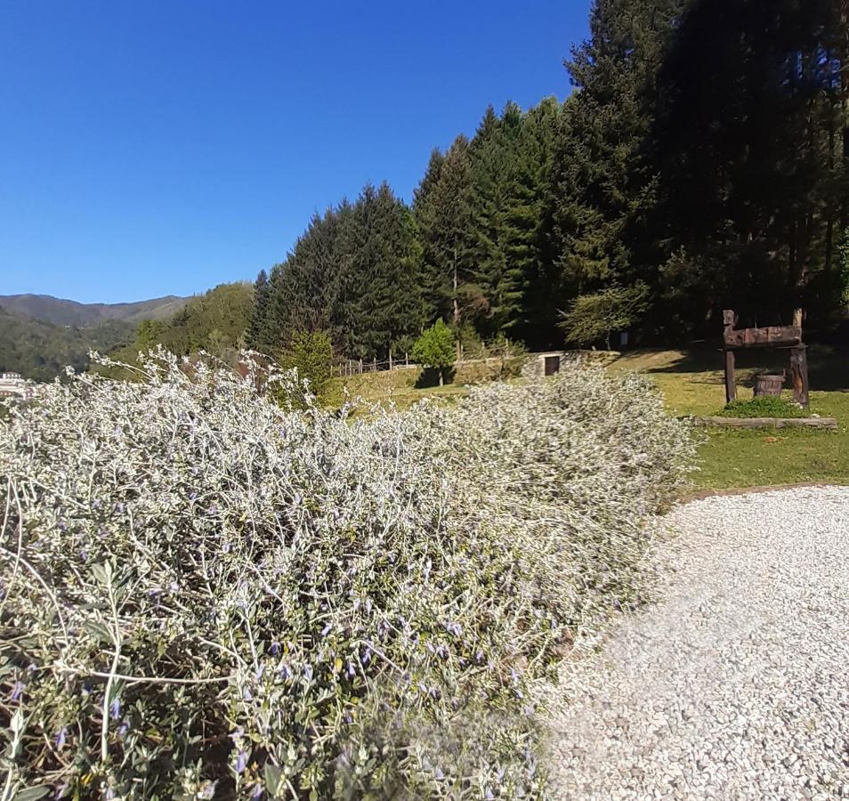 Il Bosco Di Campo Marzano Sunlight Lejlighed Borzonasca Eksteriør billede
