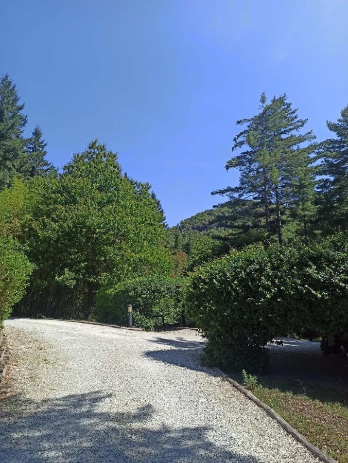 Il Bosco Di Campo Marzano Sunlight Lejlighed Borzonasca Eksteriør billede